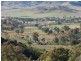 1062 McCullys Gap Road, Muswellbrook NSW 2333