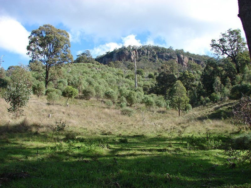 1062 McCullys Gap Road, Muswellbrook NSW 2333