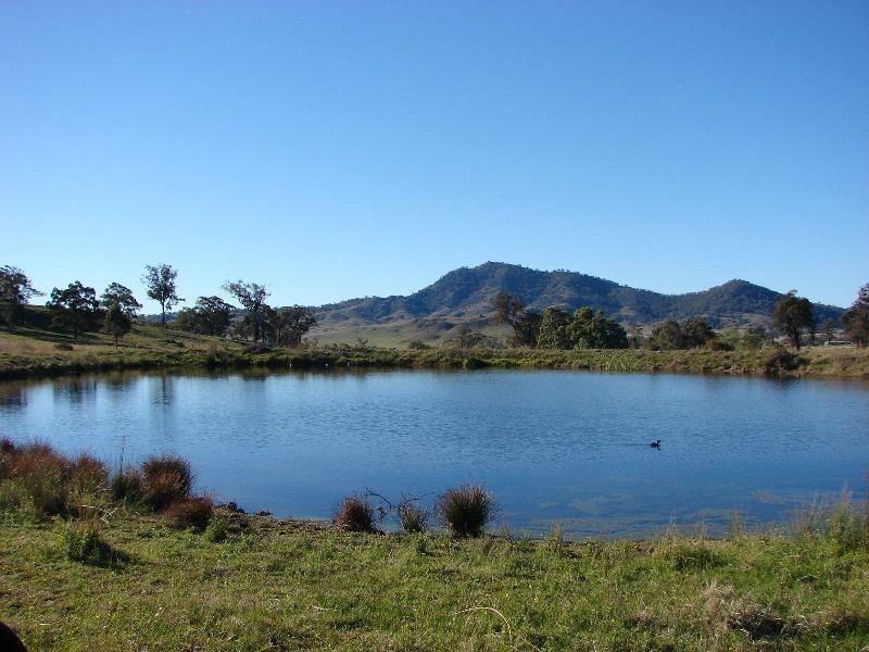 1062 McCullys Gap Road, Muswellbrook NSW 2333