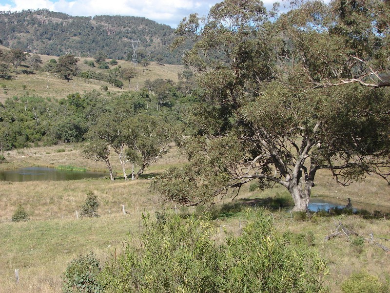 1062 McCullys Gap Road, Muswellbrook NSW 2333