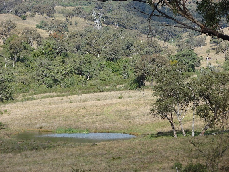 1062 McCullys Gap Road, Muswellbrook NSW 2333