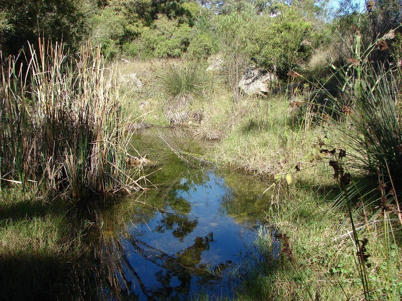 1062 McCullys Gap Road, Muswellbrook NSW 2333