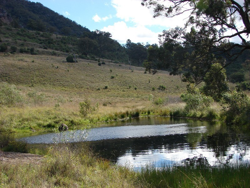 1062 McCullys Gap Road, Muswellbrook NSW 2333