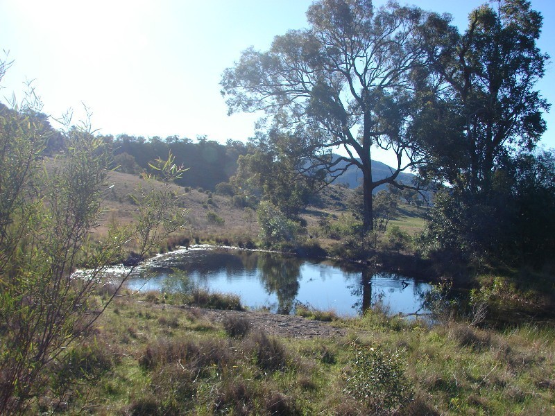 1062 McCullys Gap Road, Muswellbrook NSW 2333