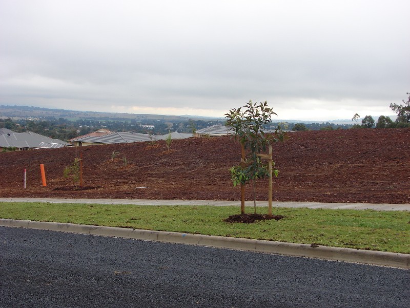 70 Ironbark Road, Muswellbrook NSW 2333