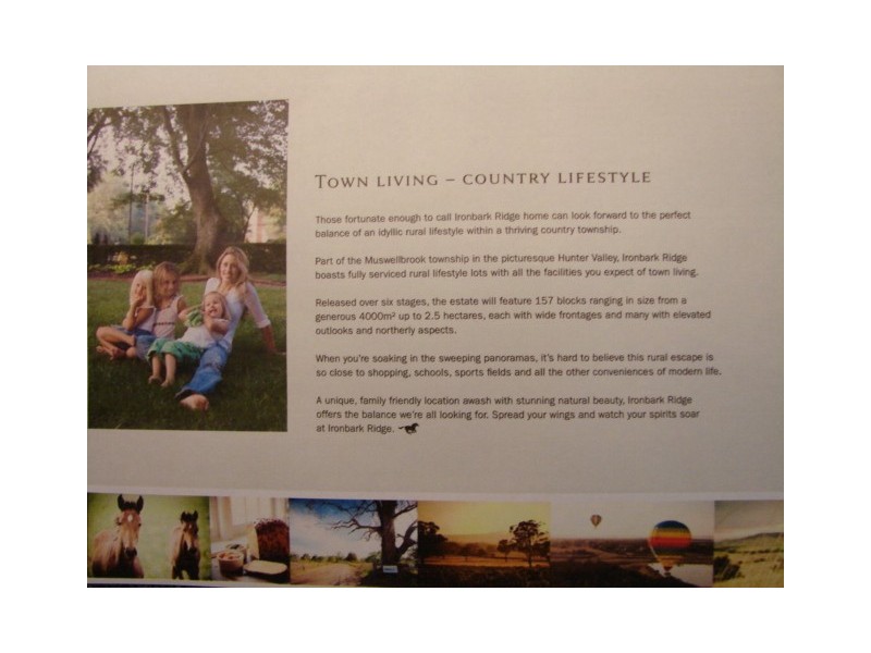 70 Ironbark Road, Muswellbrook NSW 2333