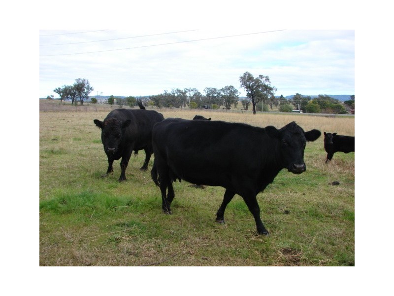 1 New England Highway, Aberdeen NSW 2336