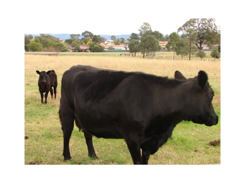 1 New England Highway, Aberdeen NSW 2336