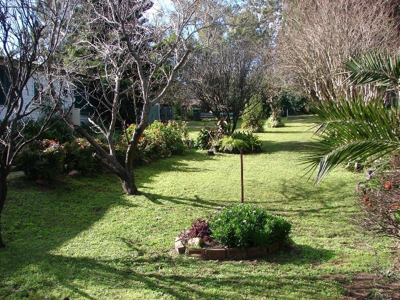 23 Glendinning Street, Muswellbrook NSW 2333
