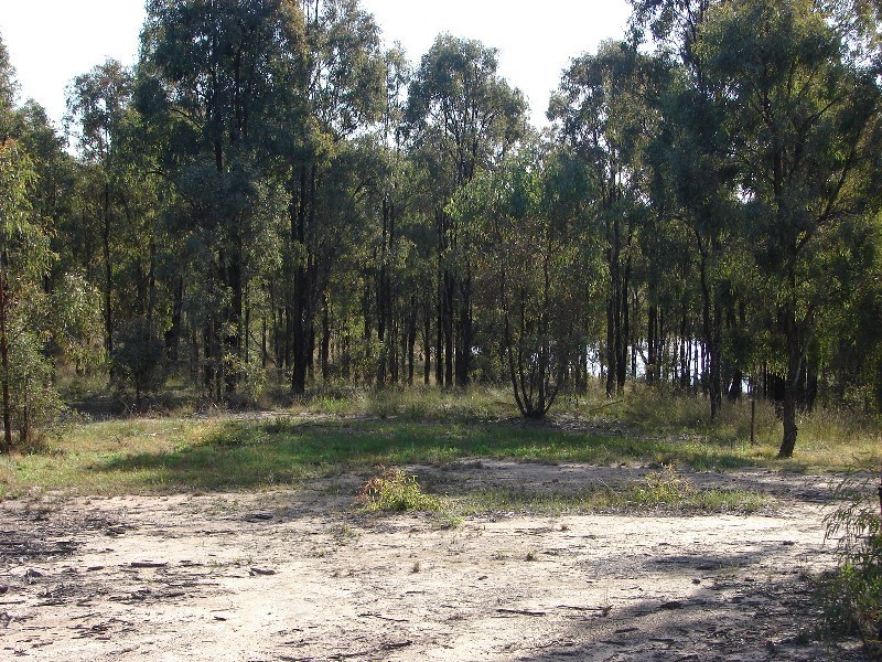 2083/ Kingfisher Court, Muswellbrook NSW 2333