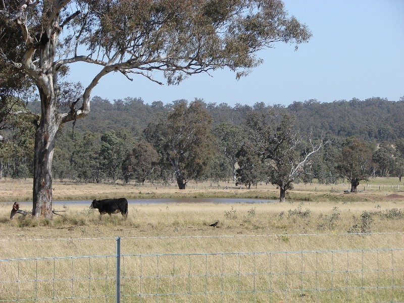 8567 New England Highway, Muswellbrook NSW 2333