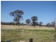8567 New England Highway, Muswellbrook NSW 2333