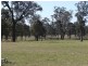 8567 New England Highway, Muswellbrook NSW 2333