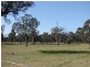 8567 New England Highway, Muswellbrook NSW 2333