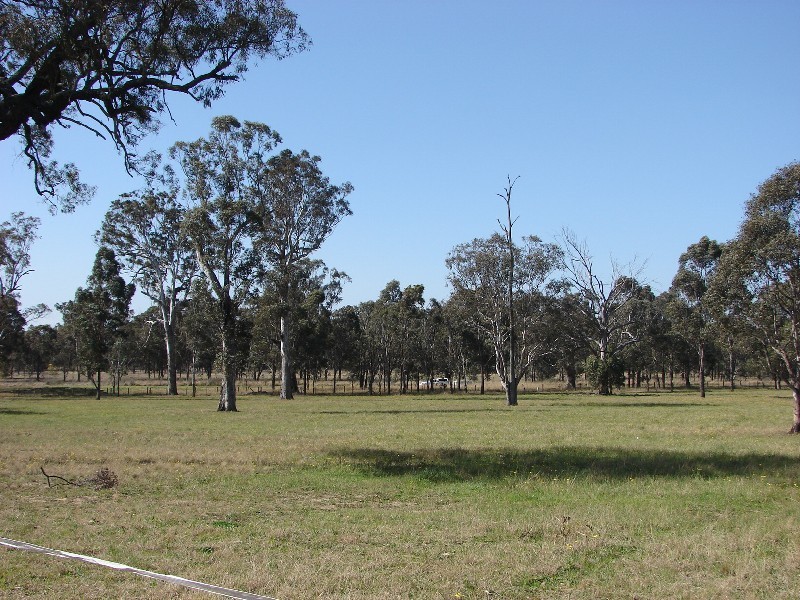8567 New England Highway, Muswellbrook NSW 2333