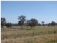8567 New England Highway, Muswellbrook NSW 2333