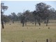 8567 New England Highway, Muswellbrook NSW 2333