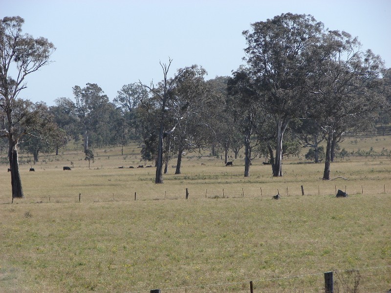 8567 New England Highway, Muswellbrook NSW 2333