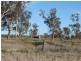 161 Lougues Lane, Muswellbrook NSW 2333