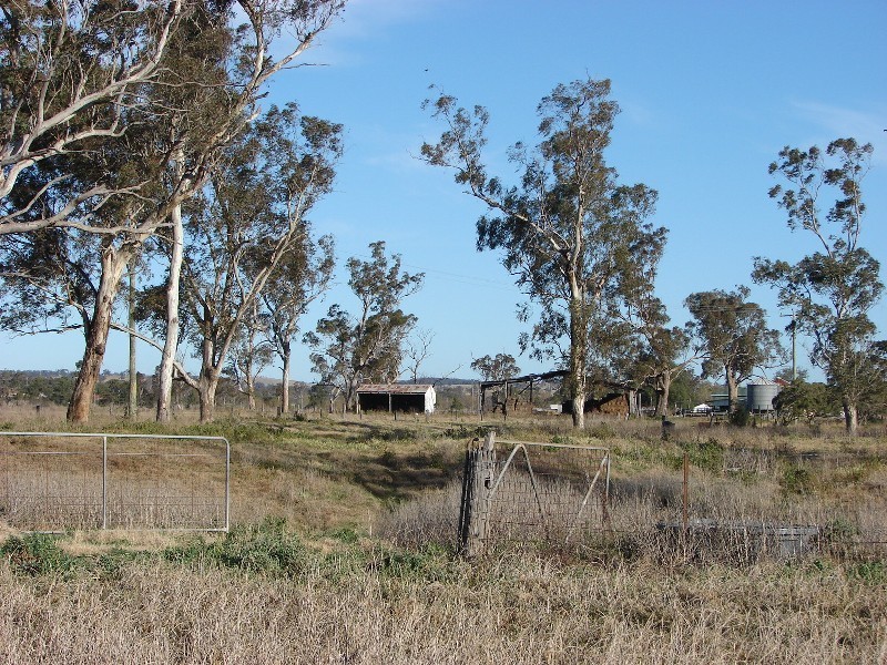 161 Lougues Lane, Muswellbrook NSW 2333
