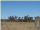 161 Lougues Lane, Muswellbrook NSW 2333