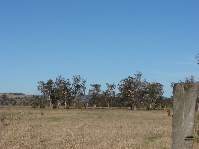 161 Lougues Lane, Muswellbrook NSW 2333