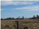 161 Lougues Lane, Muswellbrook NSW 2333