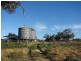 161 Lougues Lane, Muswellbrook NSW 2333