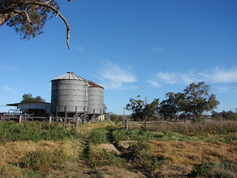161 Lougues Lane, Muswellbrook NSW 2333