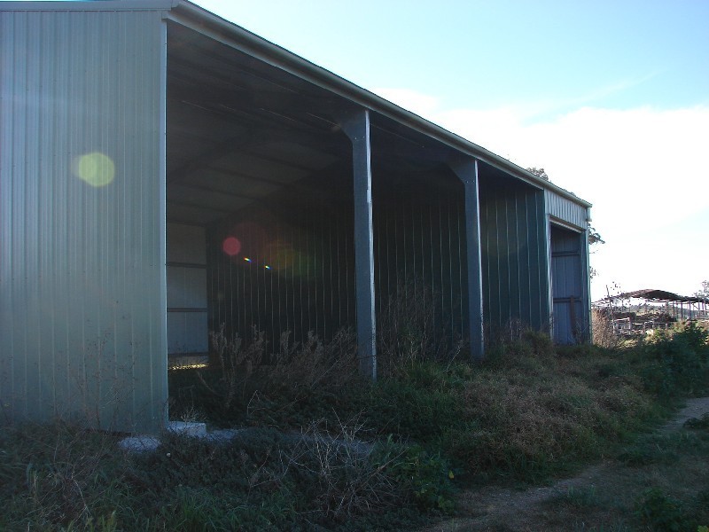 161 Lougues Lane, Muswellbrook NSW 2333
