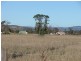 161 Lougues Lane, Muswellbrook NSW 2333
