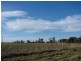 161 Lougues Lane, Muswellbrook NSW 2333