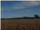 161 Lougues Lane, Muswellbrook NSW 2333