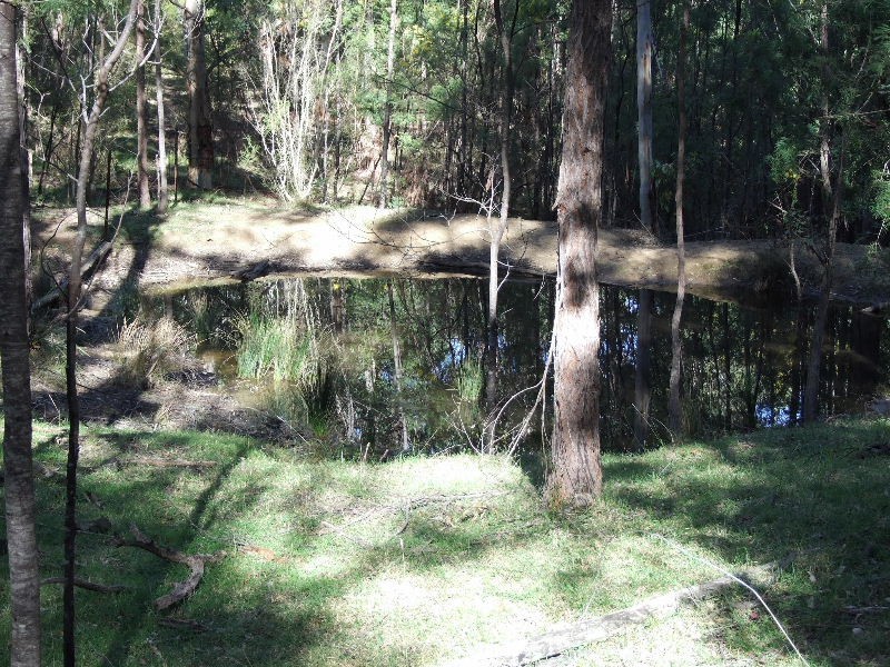 3700 Martindale Rd, Denman NSW 2328