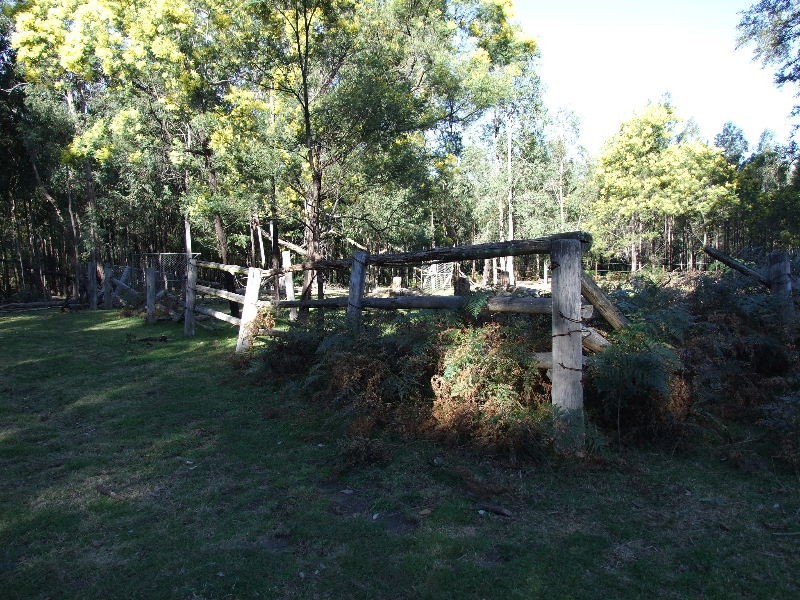 3700 Martindale Rd, Denman NSW 2328