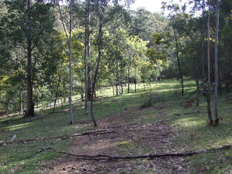 3700 Martindale Rd, Denman NSW 2328