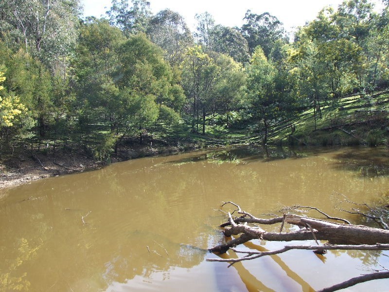 3700 Martindale Rd, Denman NSW 2328