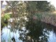 1054 McCullys Gap Road, Muswellbrook NSW 2333