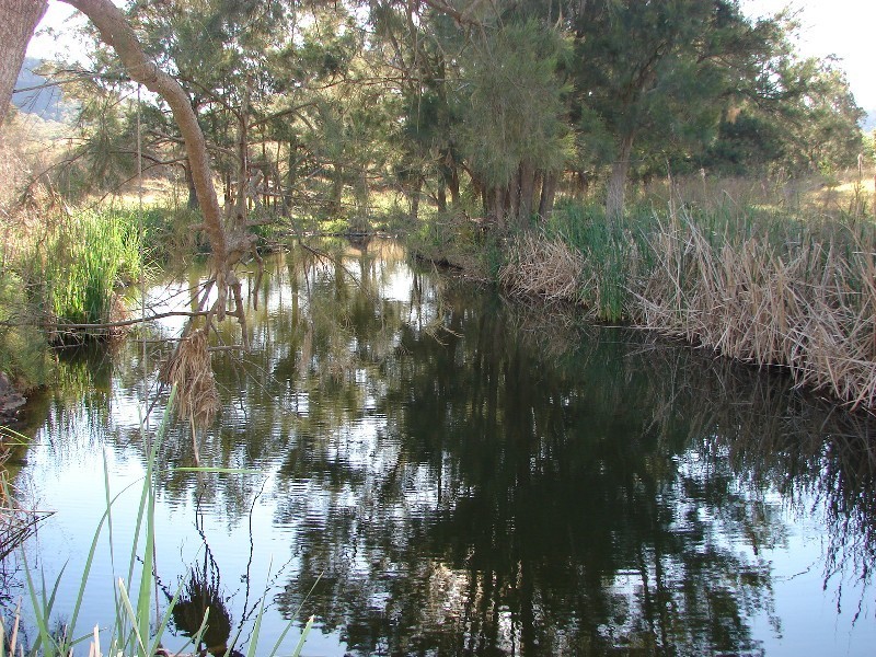 1054 McCullys Gap Road, Muswellbrook NSW 2333