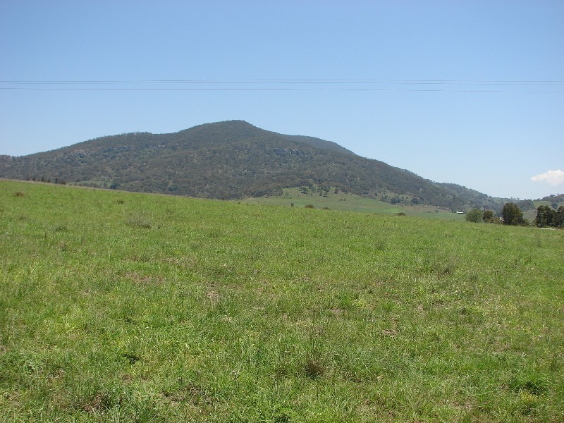 1054 McCullys Gap Road, Muswellbrook NSW 2333