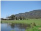 1054 McCullys Gap Road, Muswellbrook NSW 2333