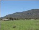 1054 McCullys Gap Road, Muswellbrook NSW 2333