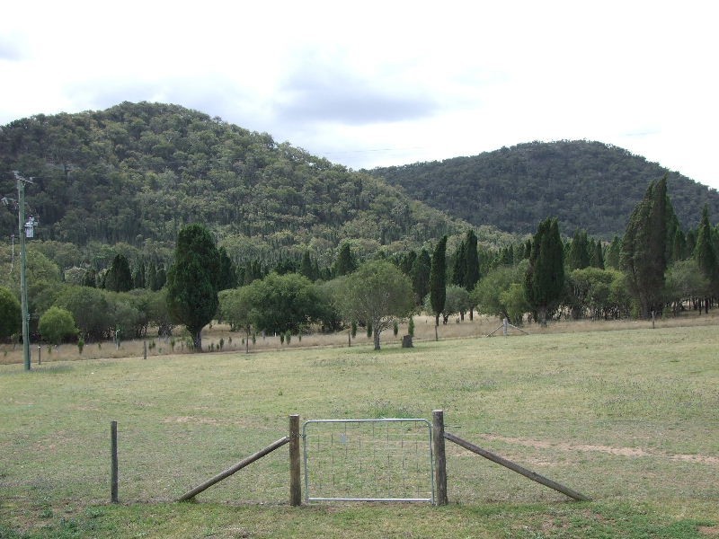 130 Giants Creek Road, Sandy Hollow NSW 2333