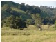 810 Muscle Creek Road, Muswellbrook NSW 2333