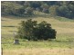 810 Muscle Creek Road, Muswellbrook NSW 2333