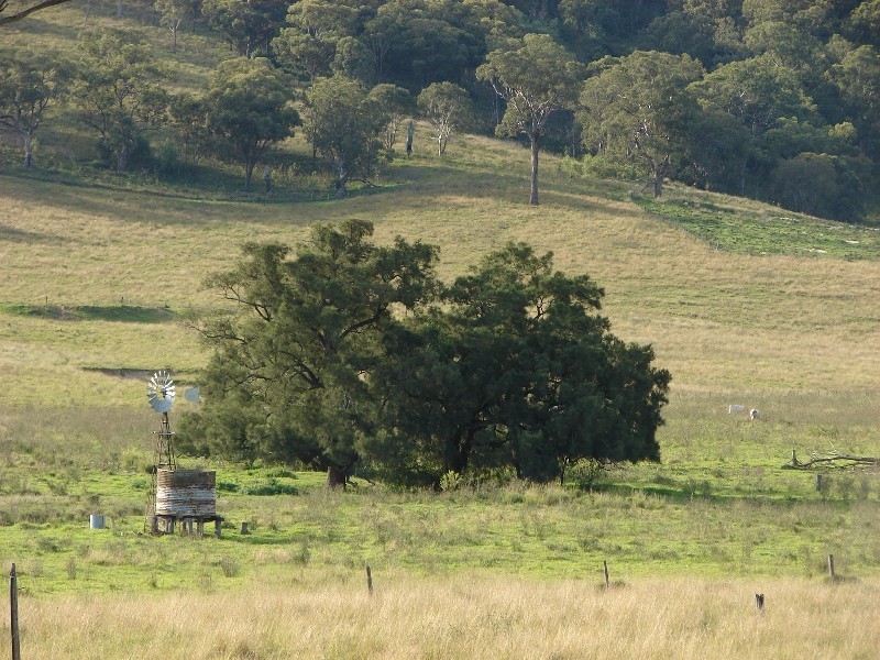 810 Muscle Creek Road, Muswellbrook NSW 2333