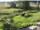 810 Muscle Creek Road, Muswellbrook NSW 2333