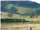 810 Muscle Creek Road, Muswellbrook NSW 2333
