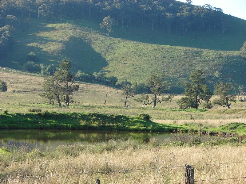 810 Muscle Creek Road, Muswellbrook NSW 2333
