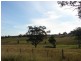 810 Muscle Creek Road, Muswellbrook NSW 2333